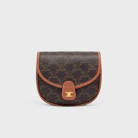 Celine Mini Besace Bag in Triomphe Canvas and Calfskin Brown
