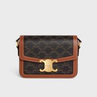 Celine Teen Triomphe Bag in Triomphe Canvas and Calfskin Brown