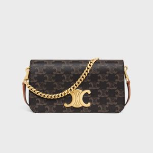 Celine Multipochette Crossbody in Triomphe Canvas Brown